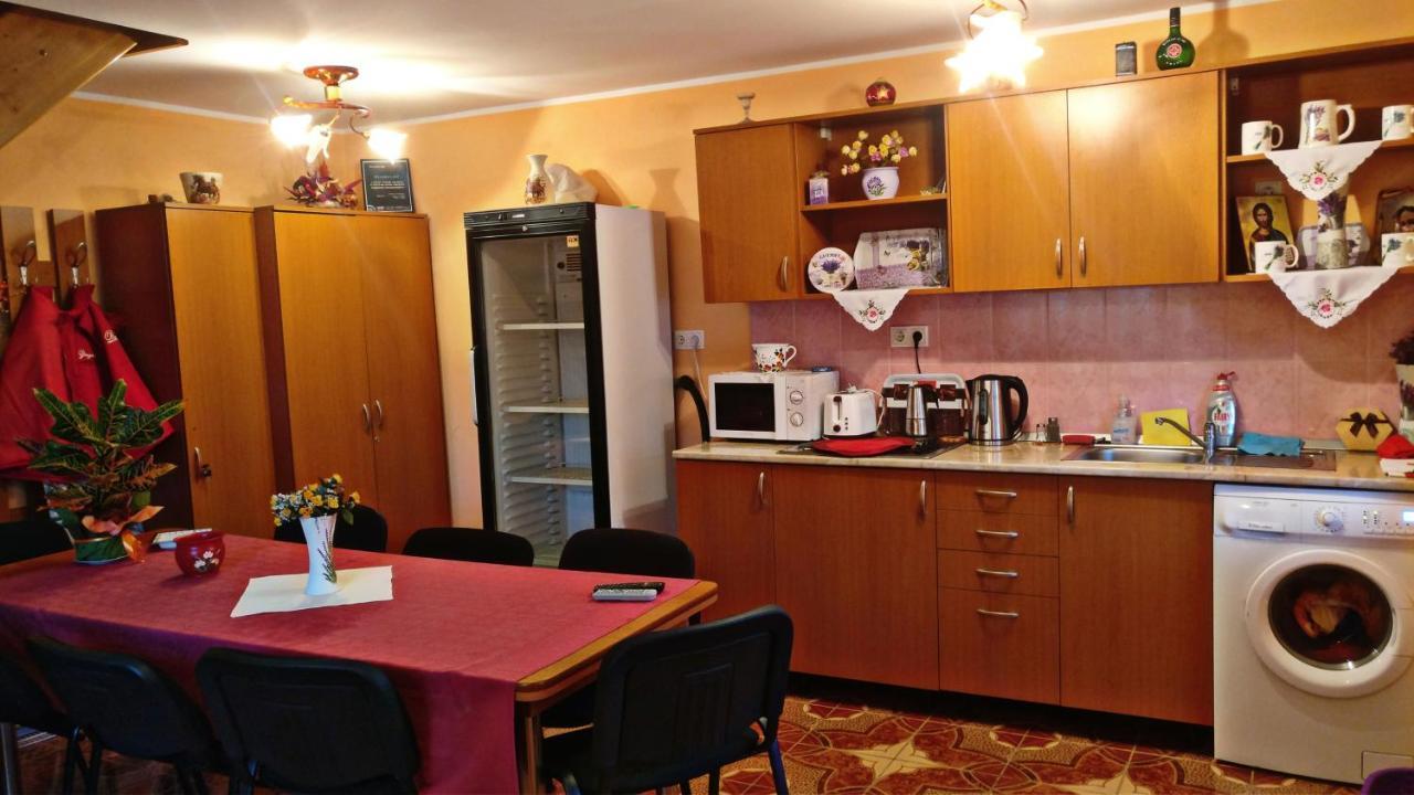 Picnic Panzio Bed & Breakfast Lunca de Sus Exterior photo